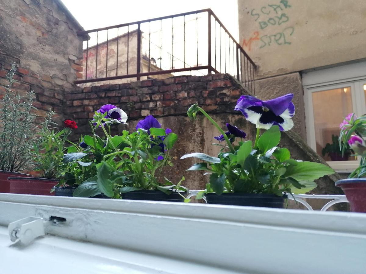 Central Location For You Belgrado Buitenkant foto
